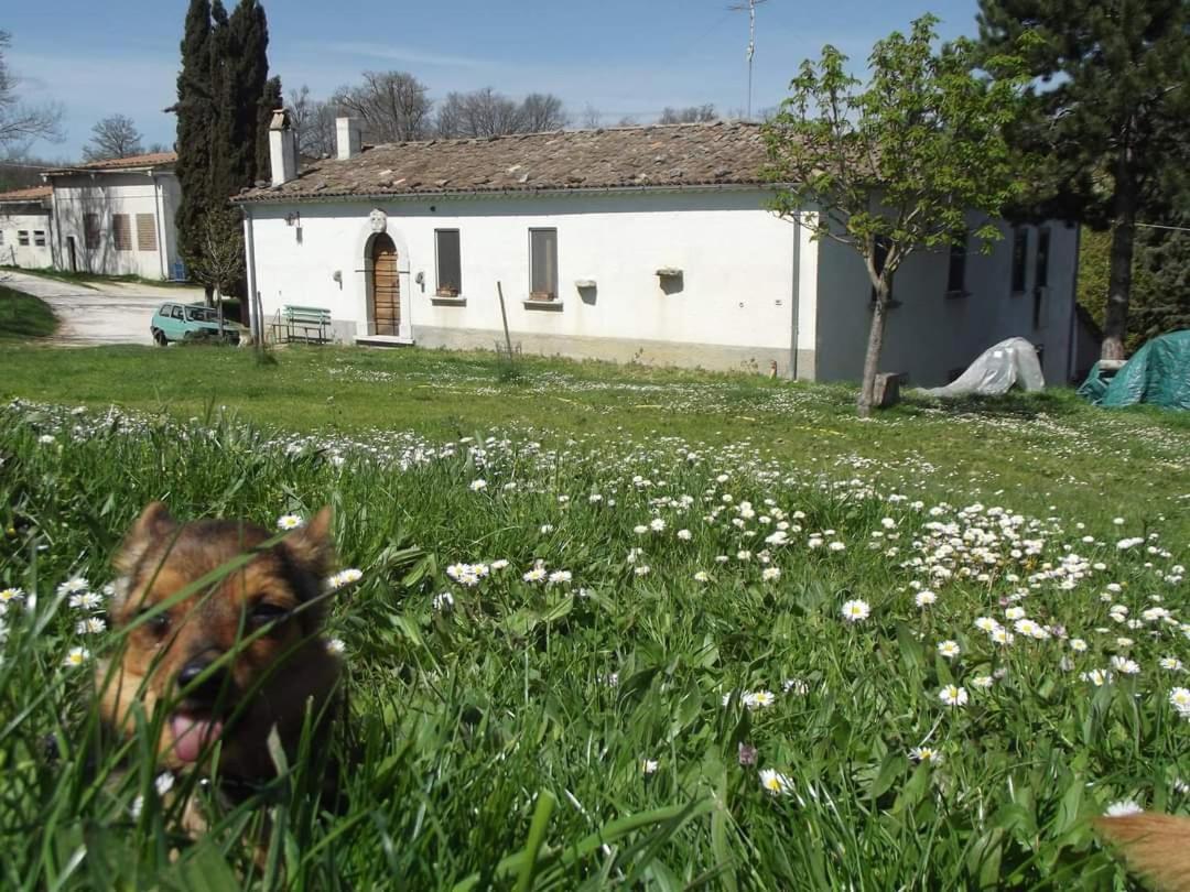 Agriturismo Masseria Testa Ciruglio Villa Jelsi Bagian luar foto
